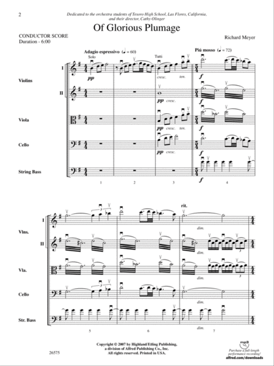 Of Glorious Plumage: Score String Orchestra scores gallery preview page 2