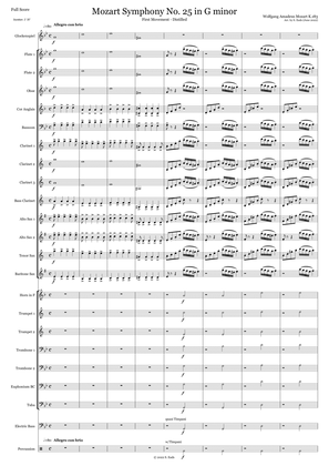 Mozart Symphony No. 25 in G minor - 1st Mvt