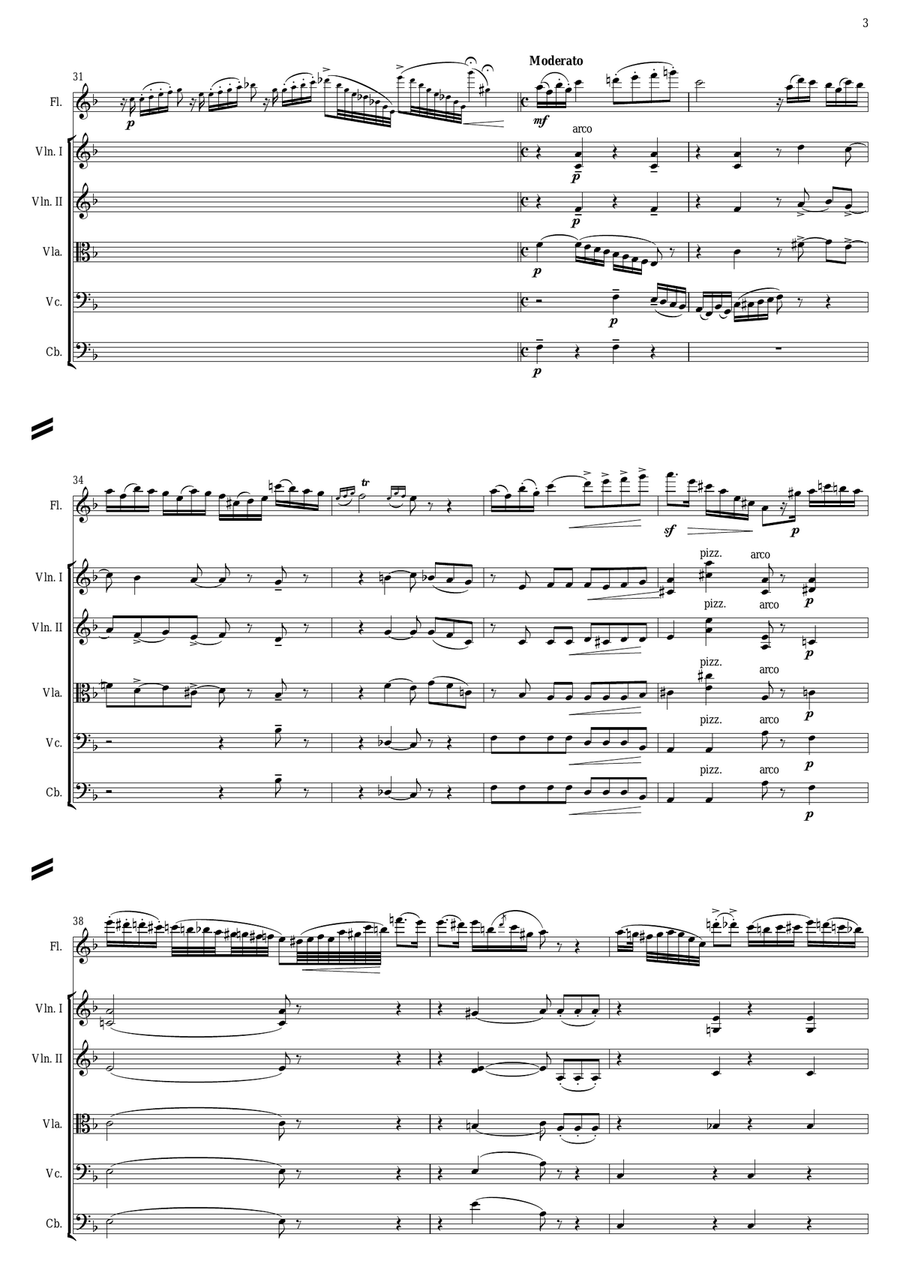 Paul Agricola Genin - Carnaval de Venice ( Full Score and parts ) Chamber Orchestra scores gallery preview page 3