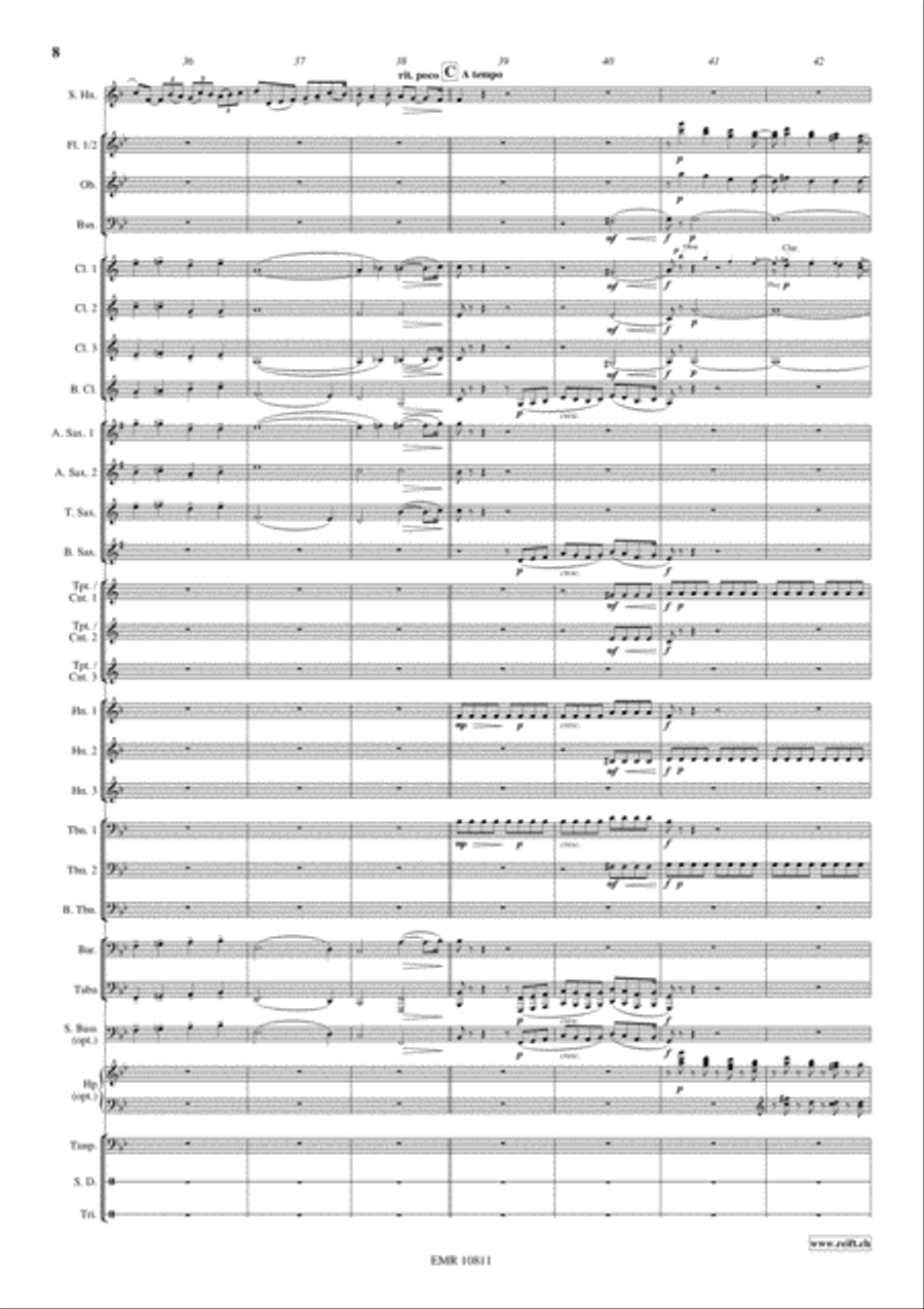 Horn Concerto Concert Band scores gallery preview page 9