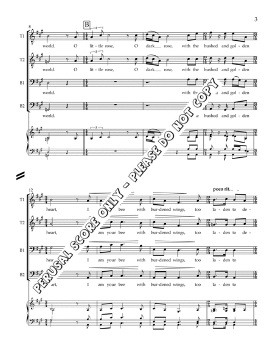 O Little Rose, O Dark Rose TTBB scores gallery preview page 3
