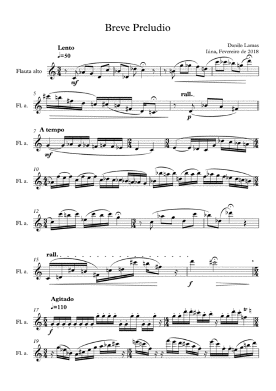 Breve prelúdio- Alto flute Flute Solo scores gallery preview page 1
