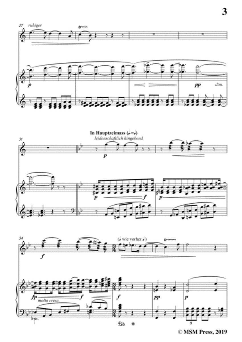 Wolf-Mignon, for Violin and Piano image number null