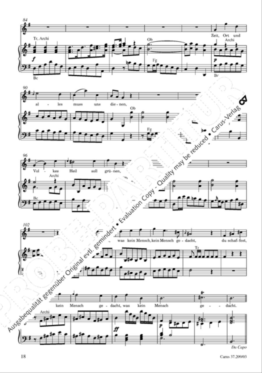For us a child is born (Uns ist ein Kind geboren) STB scores gallery preview page 19