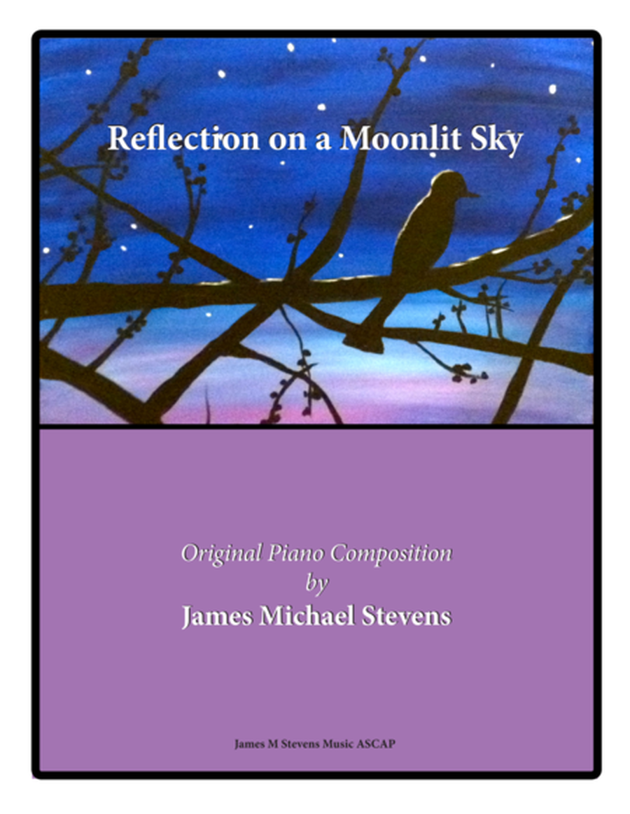 Reflection on a Moonlit Sky image number null