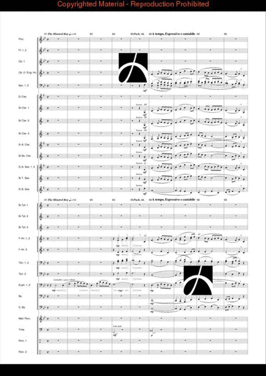Dublin Dances Concert Band scores gallery preview page 13