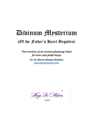 Book cover for Divinum Mysterium