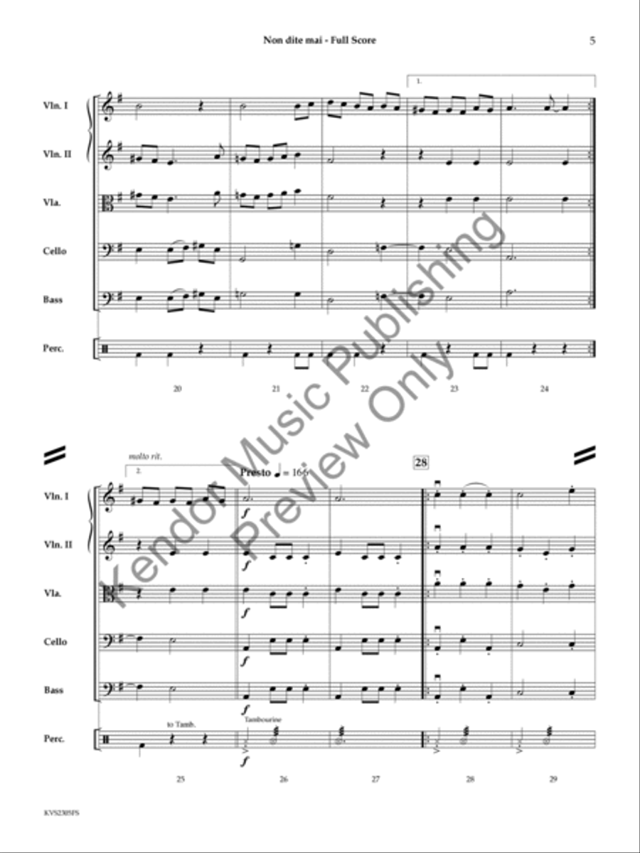 Non dite mai Non dite mai String Orchestra scores gallery preview page 6