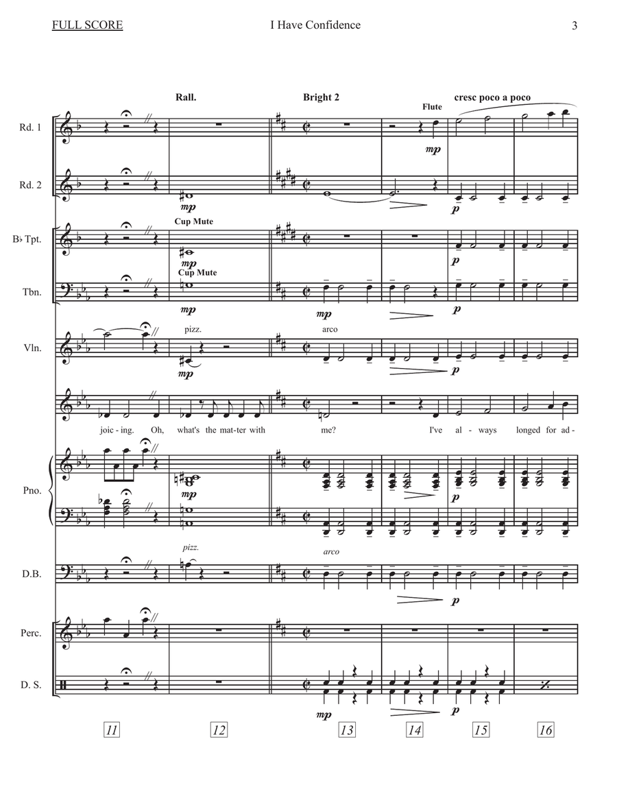 I Have Confidence Large Ensemble scores gallery preview page 5