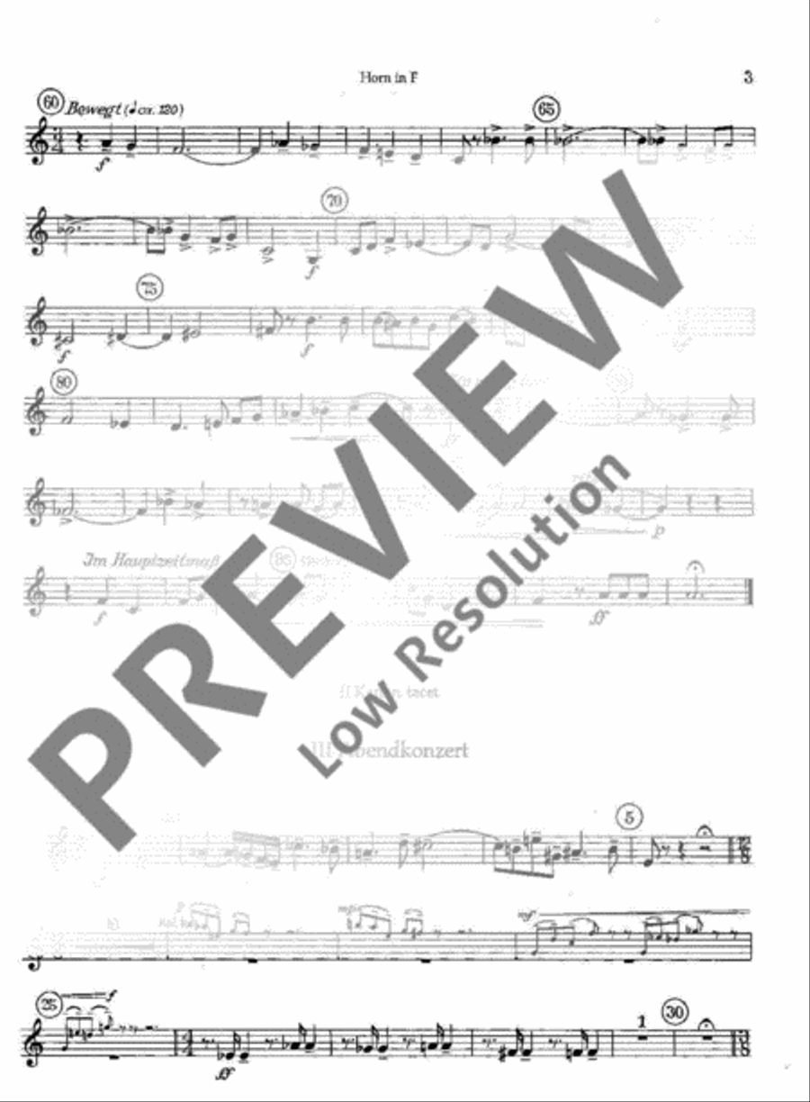 Plöner Musiktag Orchestra scores gallery preview page 14