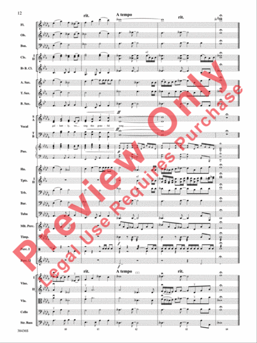 Thank You, Soldiers Full Orchestra scores gallery preview page 13