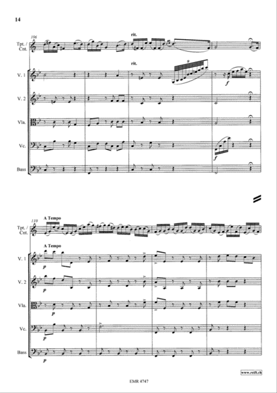 Variations On The Tyrolienne String Orchestra scores gallery preview page 14