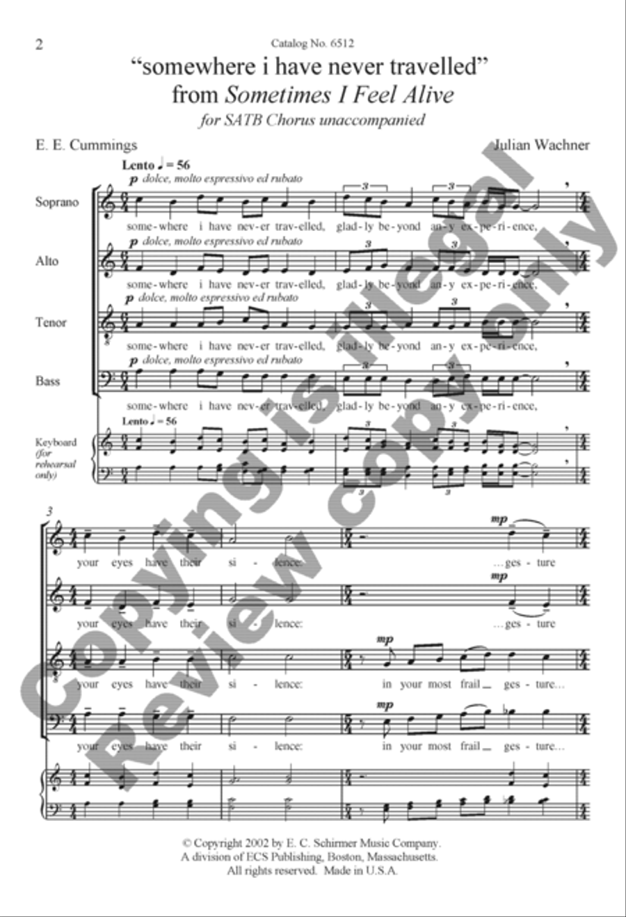 Sometimes I Feel Alive: 3. somewhere I have never travelled Divisi scores gallery preview page 9