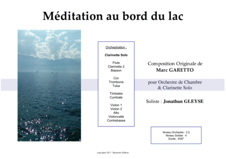 MEDITATION AU BORD DU LAC - Original Piece for Solo Clarinet & Orchestra image number null