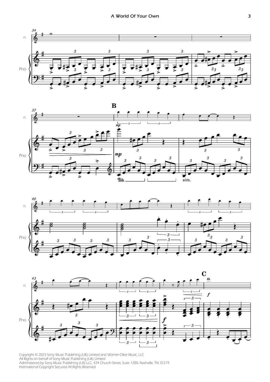 A World Of Your Own Flute scores gallery preview page 5
