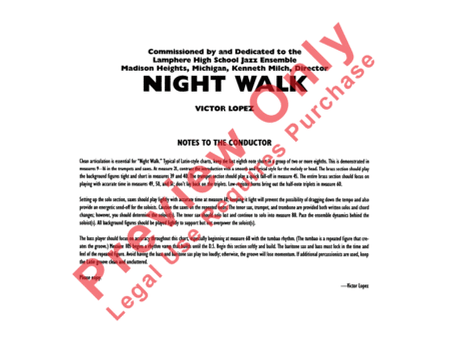 Night Walk image number null