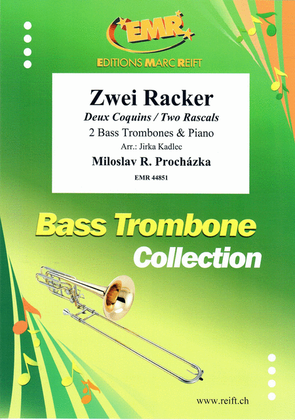 Book cover for Zwei Racker
