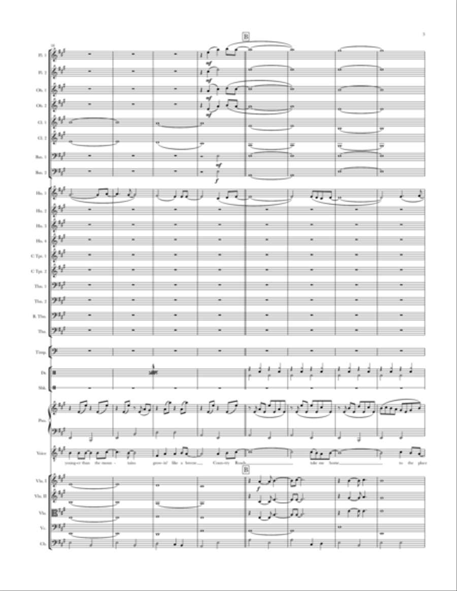 Take Me Home, Country Roads Full Orchestra scores gallery preview page 3