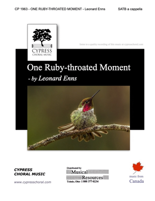 One Ruby-throated Moment