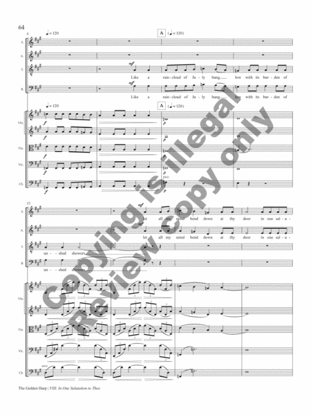 The Golden Harp (String Orchestra Score and Parts) image number null