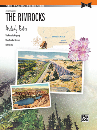 Book cover for The Rimrocks