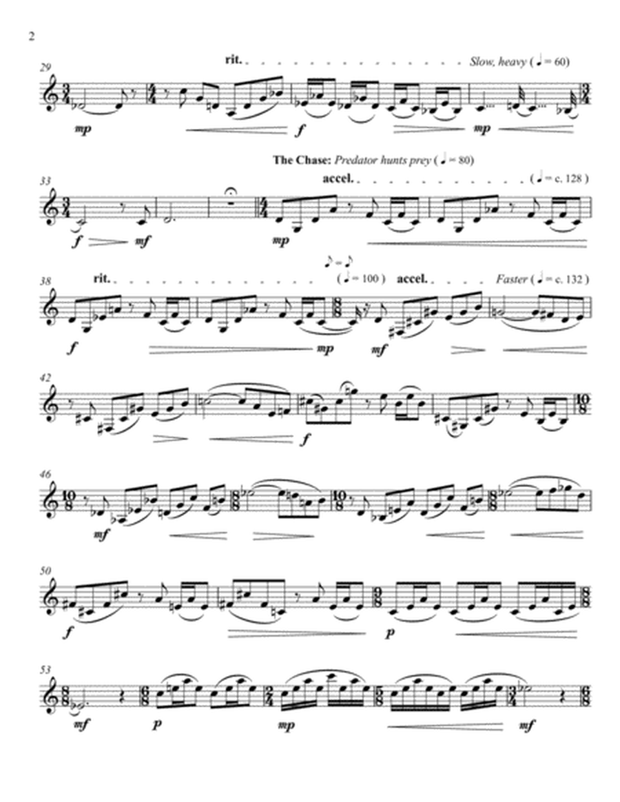 Nocturne of the Desert (for Solo Alto/Bass Clarinet) image number null