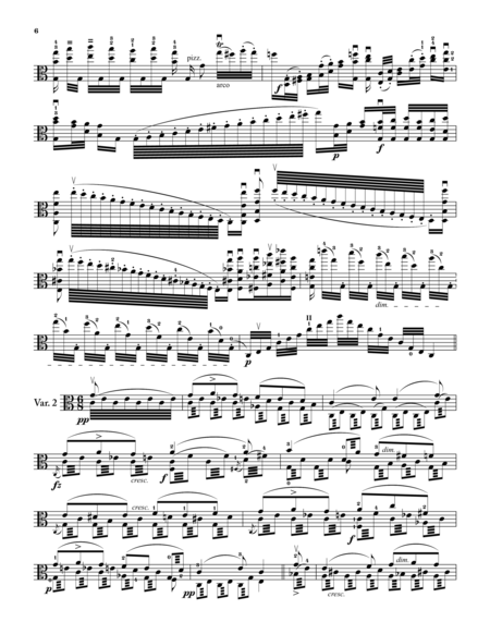 Introduction and Variations on "Nel Cor Piu Non Mi Sento", transcribed for Viola