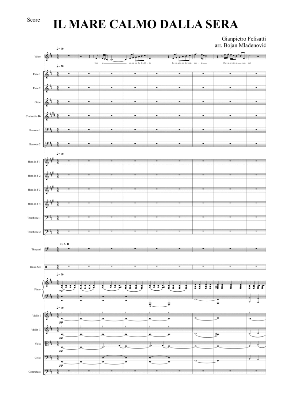 Il Mare Calmo Della Sera Full Orchestra scores gallery preview page 1