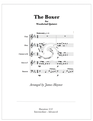 Book cover for The Boxer
