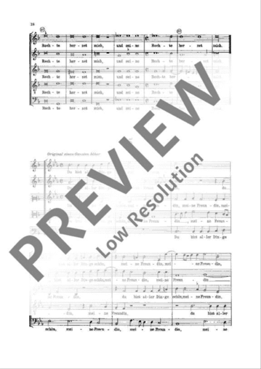 Five Song of Salomon motets Mixed Choir scores gallery preview page 19