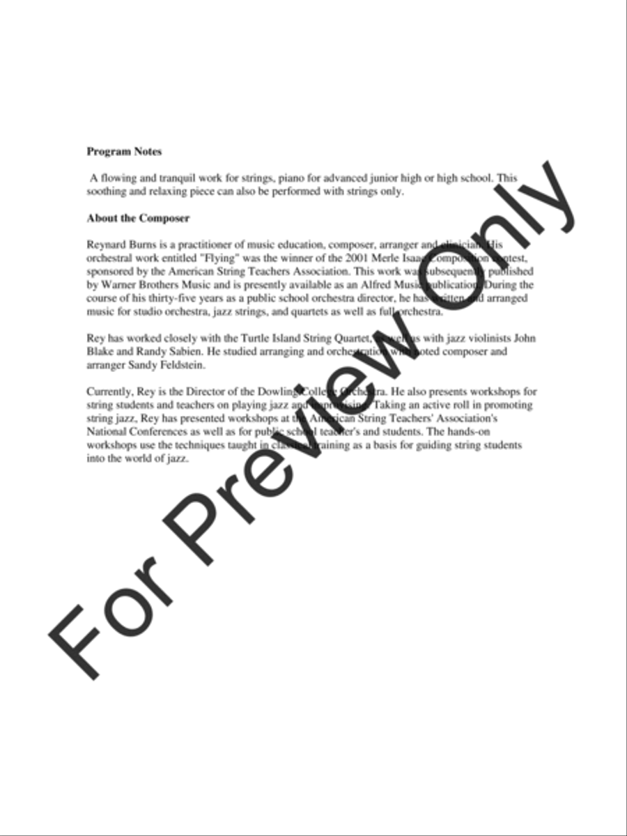 Sailing Kites (Score) String Orchestra scores gallery preview page 4