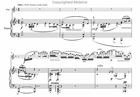 Flute sonata