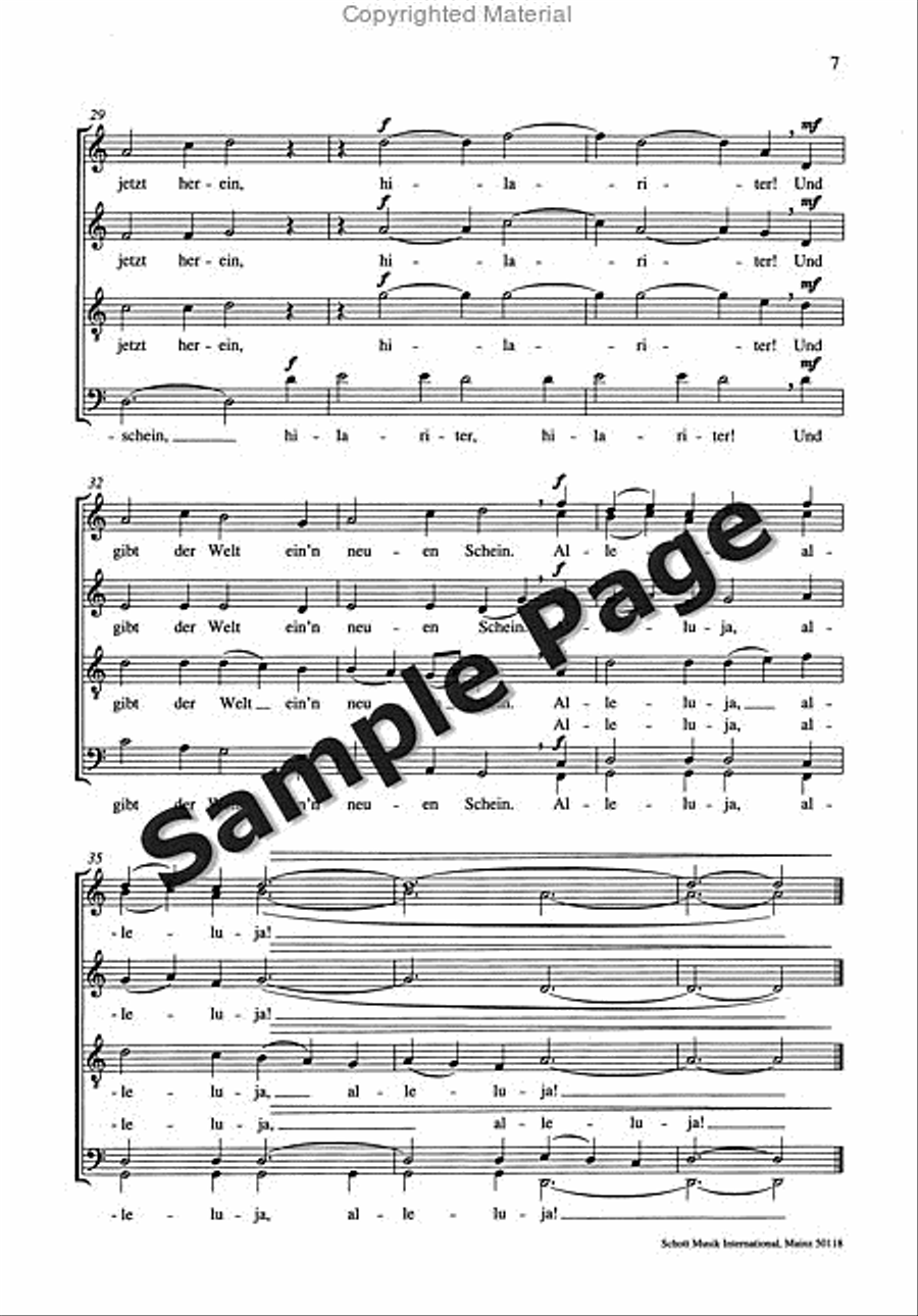 Orff C Am Weihnachtsabend Mixed Choir scores gallery preview page 8