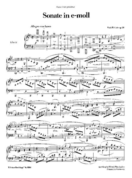 Sonata in E minor Op. 28
