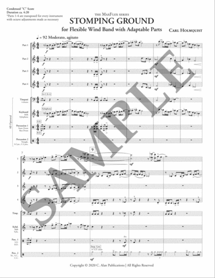 Stomping Ground (transposed score) Flexible/Adaptable scores gallery preview page 6