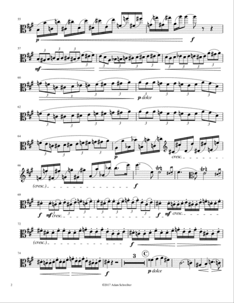 Viola Concerto in A major, Op 60. Neruda Piano scores gallery preview page 2