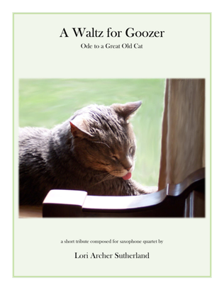 A Waltz for Goozer : Ode to a Great Old Cat