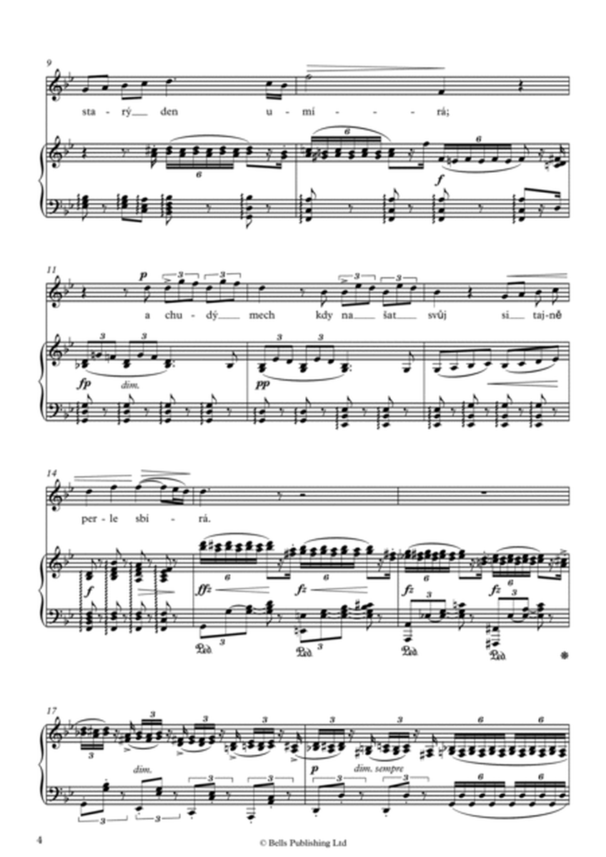 Gypsy Melodies, Op. 55