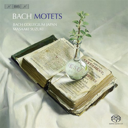 Bach: Motets image number null
