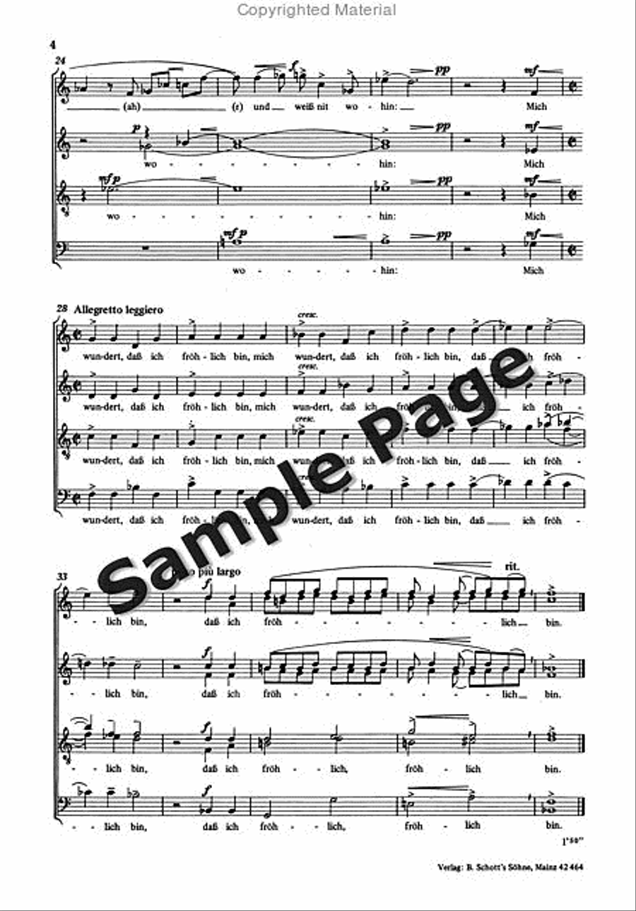 Zehm F Alter Spruch SSAATTBB scores gallery preview page 5