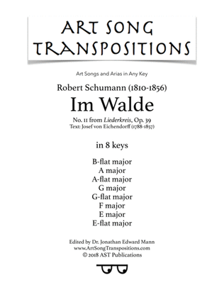 Book cover for SCHUMANN: Im Walde, Op. 39 no. 11 (in 8 keys: B-flat, A, A-flat, G, G-flat, F, E, E-flat major)