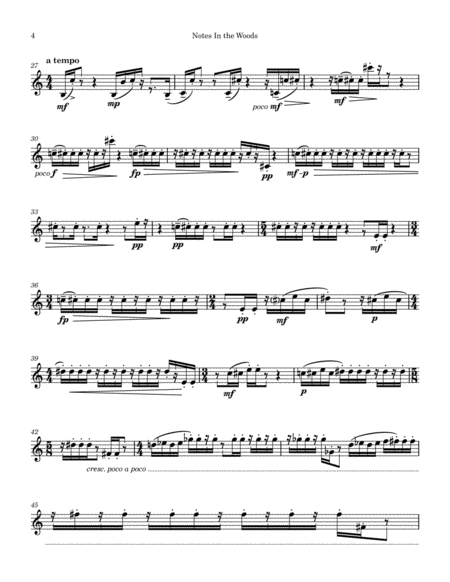Notes In the Woods for solo flute image number null