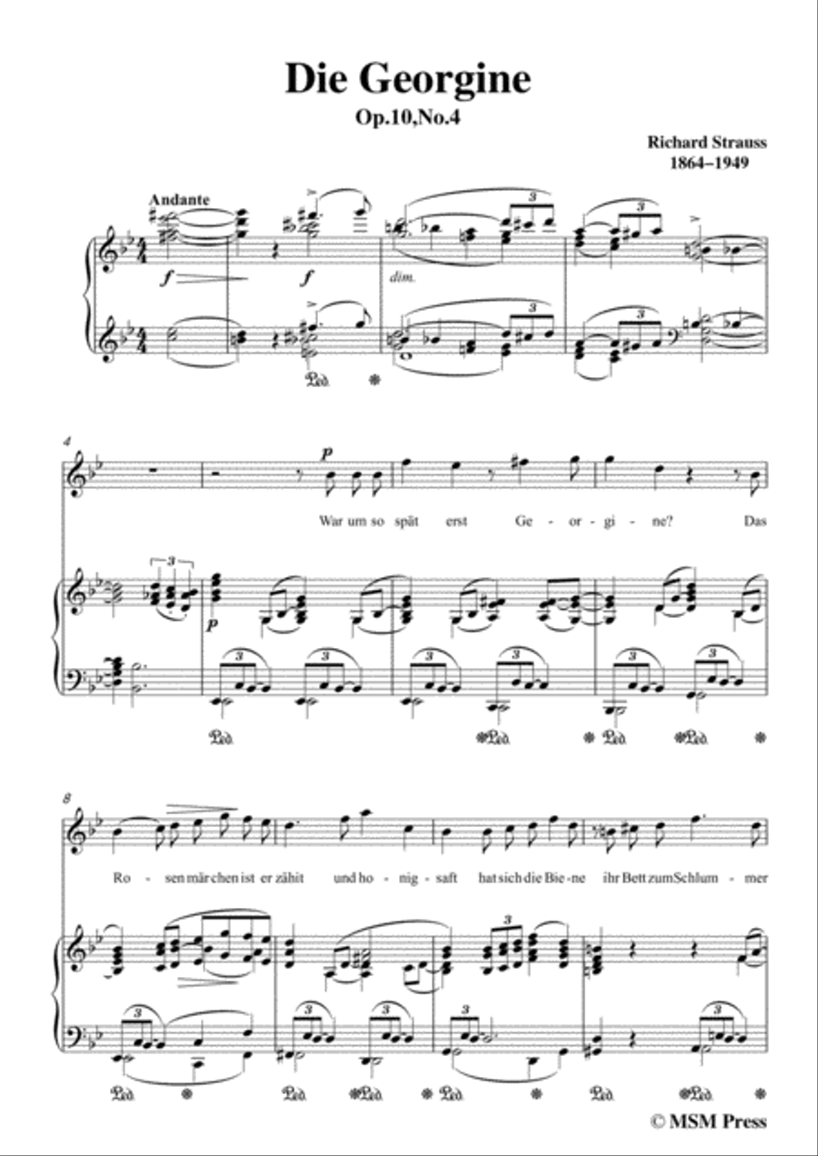 Richard Strauss-Die Georgine in g minor,for Voice and Piano Voice Solo scores gallery preview page 3