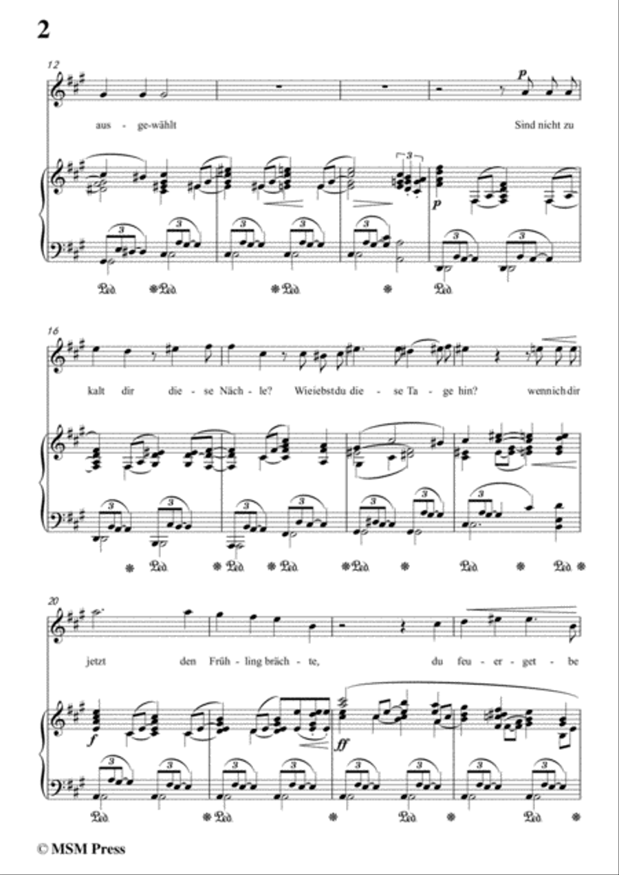 Richard Strauss-Die Georgine in f sharp minor,for Voice and Piano Voice Solo scores gallery preview page 4
