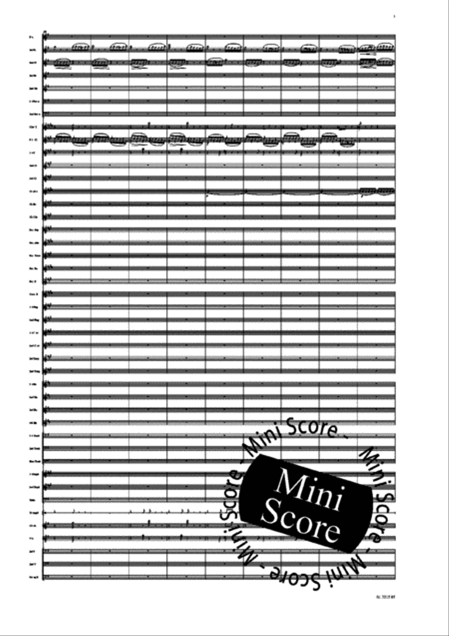 Ma Vlast Concert Band scores gallery preview page 5