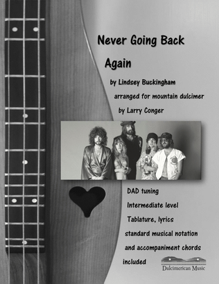 Book cover for Never Going Back Again