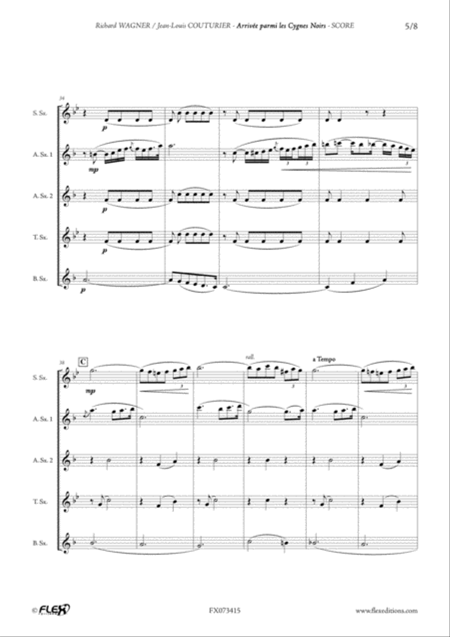Arrivee parmi les Cygnes Noirs Tenor Saxophone scores gallery preview page 5