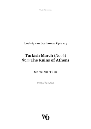 Turkish March by Beethoven for Wind Trio
