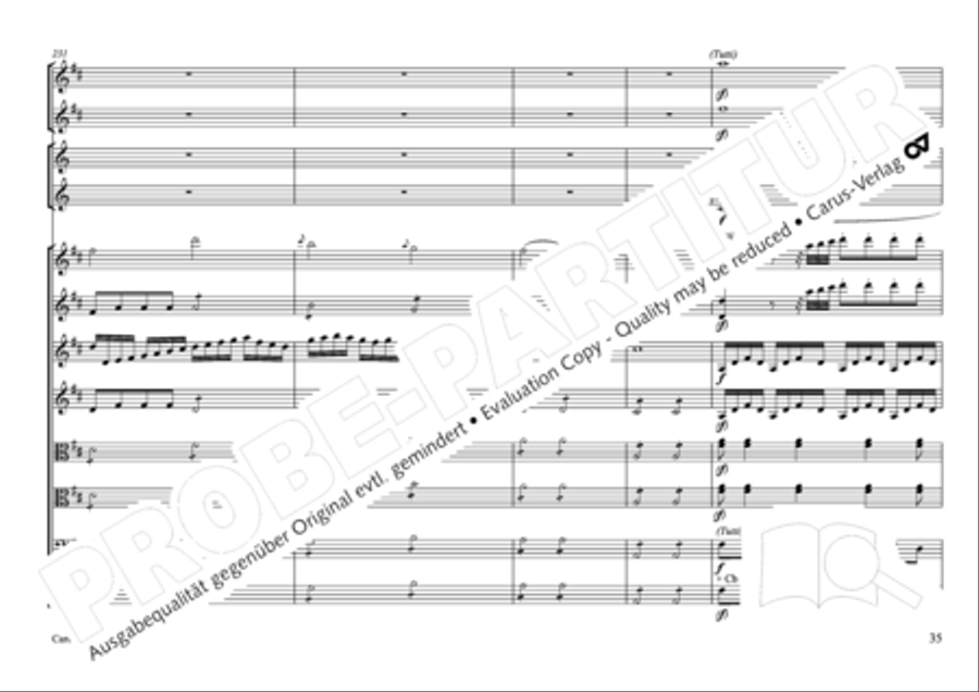 Concertone in D major Horn scores gallery preview page 36