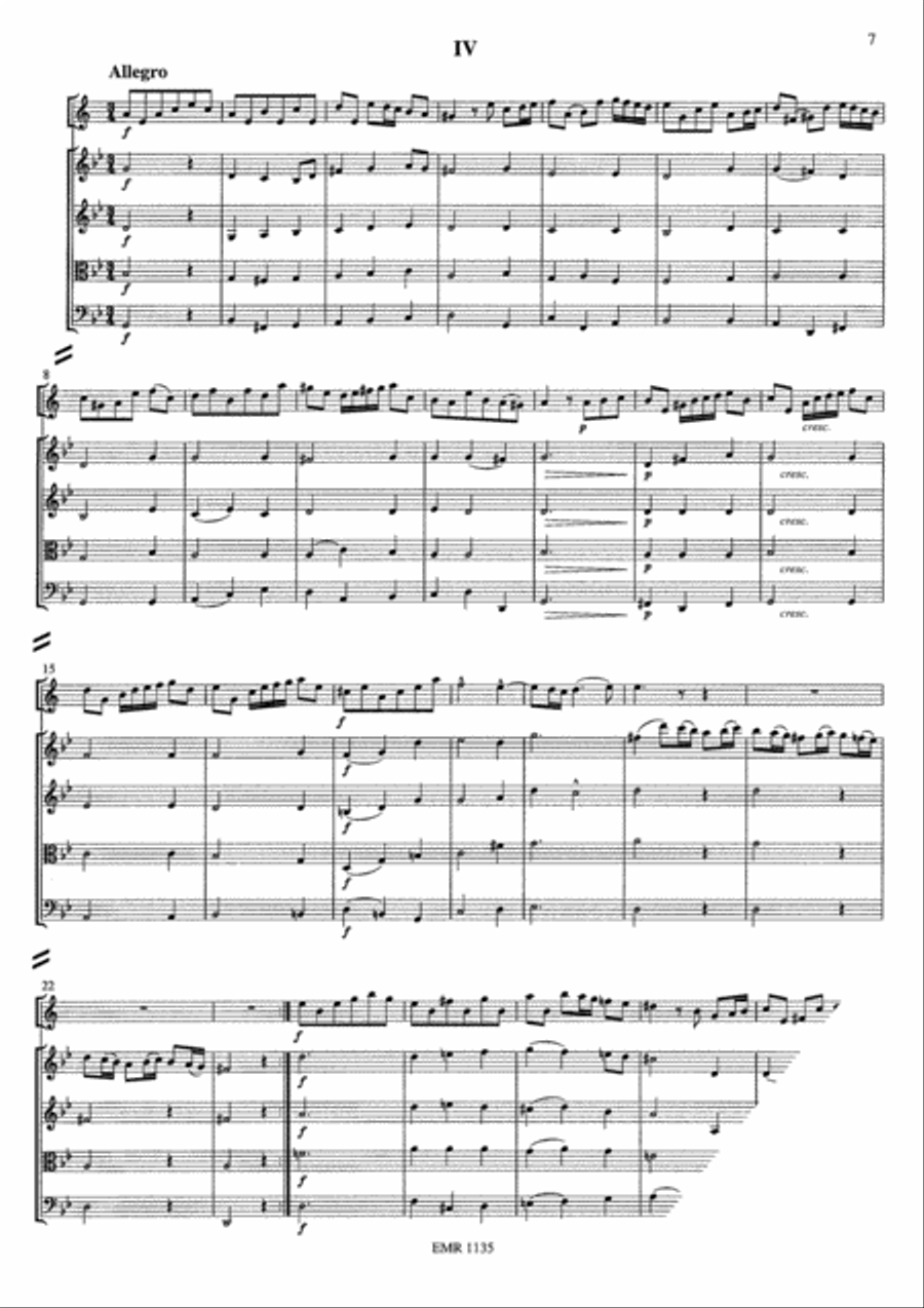 Konzert g-moll String Orchestra scores gallery preview page 6